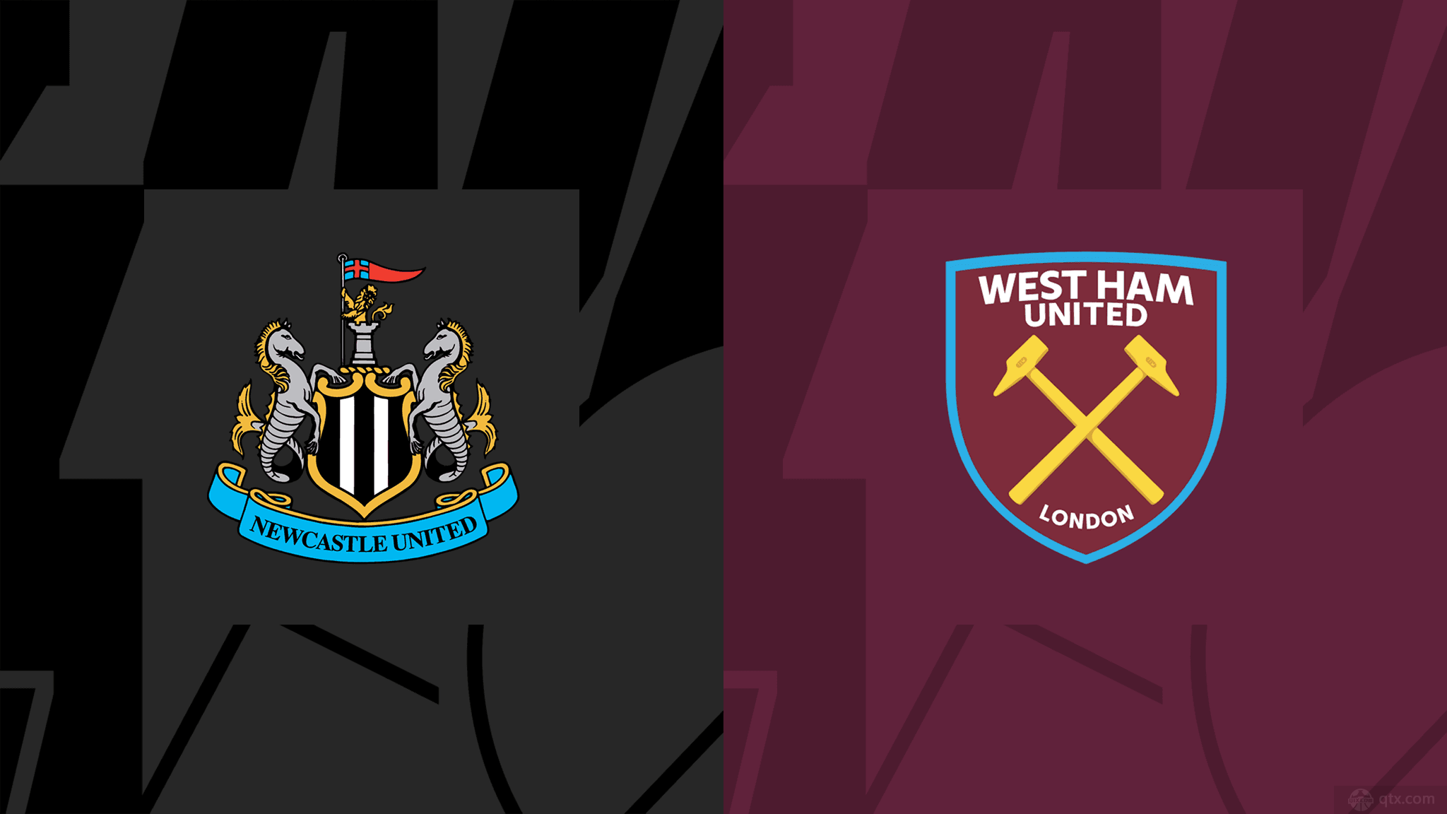 不仅成为了 不仅成为了