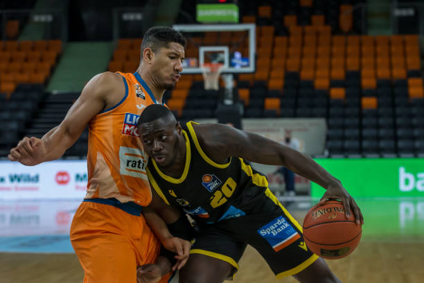 疑为全新的 疑为全新的